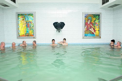 Prachtig wellnessweekend in Erd - thermaal binnenbad in het 3-sterren Thermaal Liget Hotel in de buurt van Boedapest, Hongarije