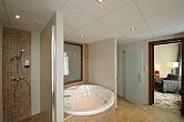 Hotelroom with jacuzzi in Szeged in Wellness and Conference Hotel Forras