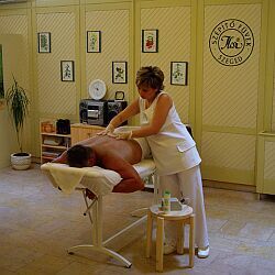 Massagebehandelingen in Hunguest Hotel Forras - betaalbaar wellness weekend in Szeged, Hongarije