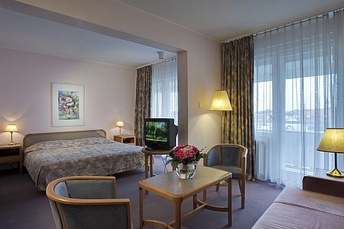 Hotel poco costoso nel cuore di Gyor - Hotel Raba City Center - hotel a 3 stelle a Gyor