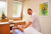 Wellnessbehandlingar i Danubius Hotell Löver i Sopron